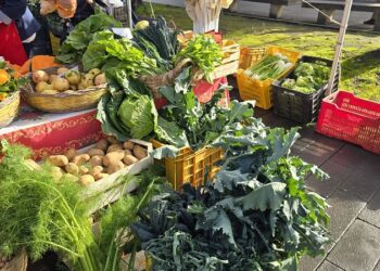 Il Mercato della Terra Costiera Sorrentina inaugura il 2025