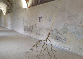 Luca Petti e la Santissima: la nuova mostra a Napoli