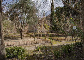 Parco Archeologico di Pompei, la casa dell’Orto Botanico apre ai visitatori