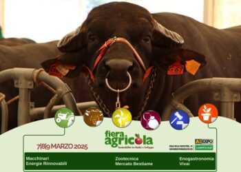 All’A1Expò la 18esima edizione di Fiera Agricola