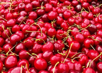 Alla Festa della Ciliegia il marchio ‘Sagra di Qualità’