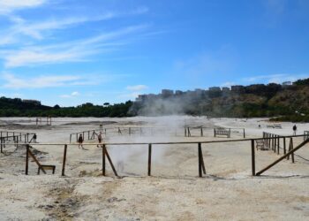 La puzza insopportabile della libertà