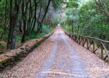 Parco del Vesuvio, trent’anni di storia: turismo sostenibile e valorizzare del patrimonio