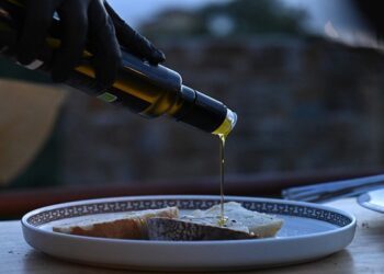 Olivitalymed, la II edizione al Castello di Rocca Cilento