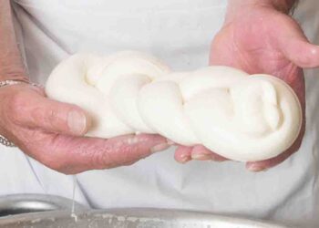 Vico Equense celebra la sua arte casearia: dieci storici caseifici ottengono il marchio De.Co.