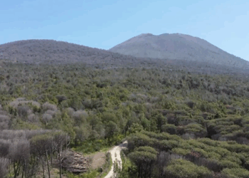 Parco del Vesuvio, 2 giugno da record: al Cratere oltre 2.300 visitatori