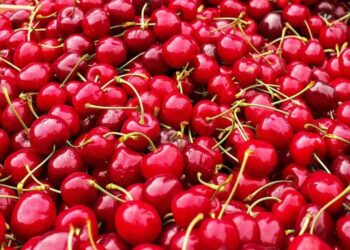 Ciliegia in festa a Campoli del Monte Taburno