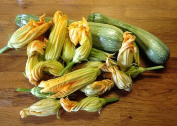 A San Potito Ultra per la Sagra del Fusillo co’ Ciurillo