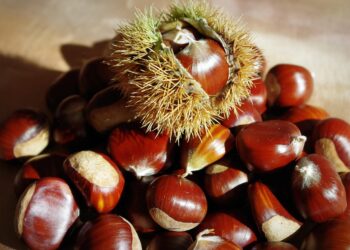 Cassano Irpino, in festa per la Sagra della Castagna