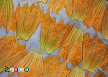 Caserta. La Sagra Brianese chiude gli eventi d’agosto