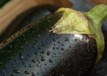 Torna a grande richiesta la Festa della Melanzana di Preazzano