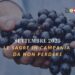 Settembre: le sagre da non perdere in Campania