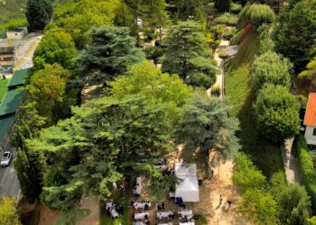 Torna l’Ariano Biofestival d’Irpinia