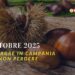Ottobre: le sagre da non perdere in Campania