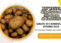 Torna la Festa della Patata di Montagna di Castelcivita, al via la XIV edizione