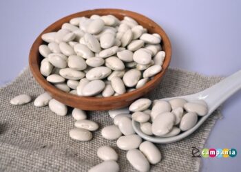 Controne celebra la ‘Sagra del Fagiolo’