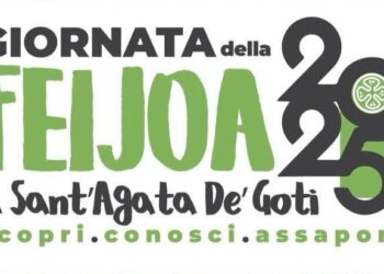 Sant’Agata dei Goti. Festa della Feijoa: giornata evento alla riscoperta della tradizione