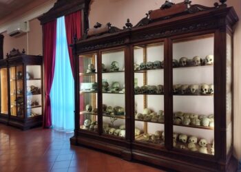 Napoli. Anatomia delle qualità, la nuova mostra al MUSA