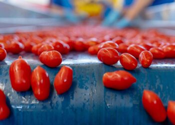 Battipaglia. “Così Com’è”: la nuova passata di pomodoro a basso contenuto di nichel