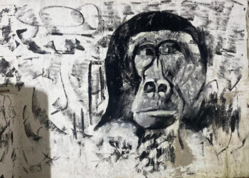 Napoli. Il Gorilla di Fernando Mangone al Museo MaM