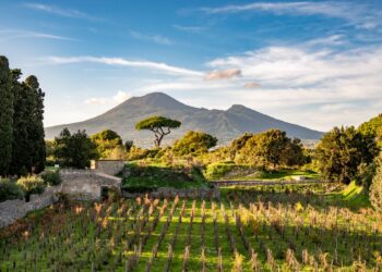 Coltivare la Storia. Nasce a Pompei un’azienda vitivinicola unica al mondo