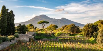Coltivare la Storia. Nasce a Pompei un’azienda vitivinicola unica al mondo