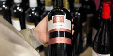 Cellole. Un calice di Campania Felix: incontro dedicato ai professionisti del settore