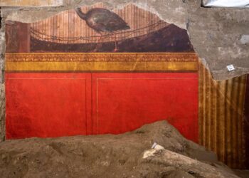 Torre Annunziata, il nuovo scavo della Villa di Poppea apre al pubblico