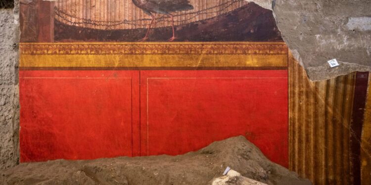 Torre Annunziata, il nuovo scavo della Villa di Poppea apre al pubblico