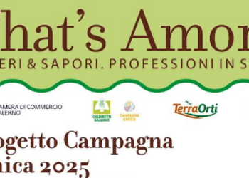 Salerno. Professioni a confronto per la tutela del DOP e IGP