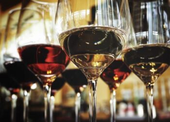 Caserta. I Nuo(Vini)ssimi: le new entry della viticoltura campana