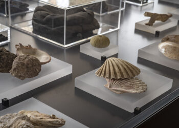 Pompei. Oltre gli schemi: verso una ricerca audace e non vincolata