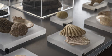 Pompei. Oltre gli schemi: verso una ricerca audace e non vincolata