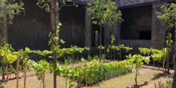 Pompei. Tra storia e natura: riscoprire il verde all’ombra del Vesuvio
