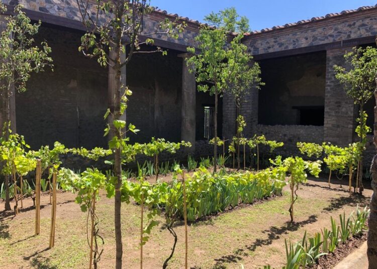 Pompei. Tra storia e natura: riscoprire il verde all’ombra del Vesuvio