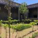 Pompei. Tra storia e natura: riscoprire il verde all’ombra del Vesuvio