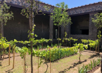 Pompei, dall’archeologia alla natura. Turisti innamorati degli scavi: ‘Sognavo da quarant’anni di visitarli’