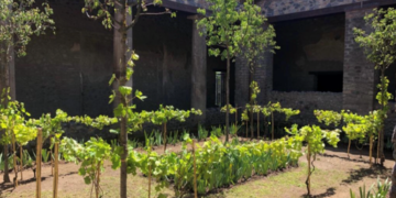Pompei, dall’archeologia alla natura. Turisti innamorati degli scavi: ‘Sognavo da quarant’anni di visitarli’