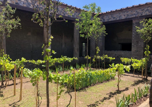 Pompei, dall’archeologia alla natura. Turisti innamorati degli scavi: ‘Sognavo da quarant’anni di visitarli’