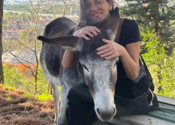 Agriturismo Soriente a Roccapiemonte: tra cucina a km0, natura e relax