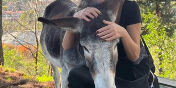 Agriturismo Soriente a Roccapiemonte: tra cucina a km0, natura e relax