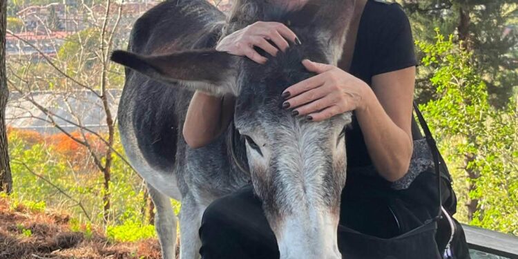 Agriturismo Soriente a Roccapiemonte: tra cucina a km0, natura e relax