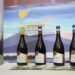 Vitigno Italia: Agri Solaris presenta “Le Sei Anime”, la sua prima linea DOC dedicata al racconto identitario del Sannio