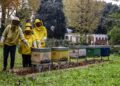 Agricoltura sostenibile a Pompei, studenti nei campi sperimentali del Parco Archeologico