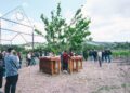 Cantine Aperte 2026: vino, musica e convivialità tra i vigneti di Paternopoli