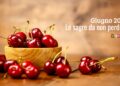 Giugno in Campania: le sagre da non perdere