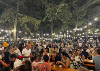 Pontecagano Faiano. Torna il WoodFest: il festival che celebra territorio e tradizione