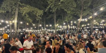 Pontecagano Faiano. Torna il WoodFest: il festival che celebra territorio e tradizione