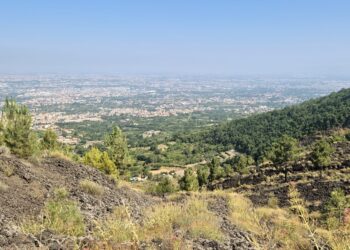 Il Parco del Vesuvio compie 31 anni: ‘Insieme per proteggerlo sempre di più’