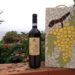 Ischia. Il ‘Kalimera’ tra i vini top del mondo
